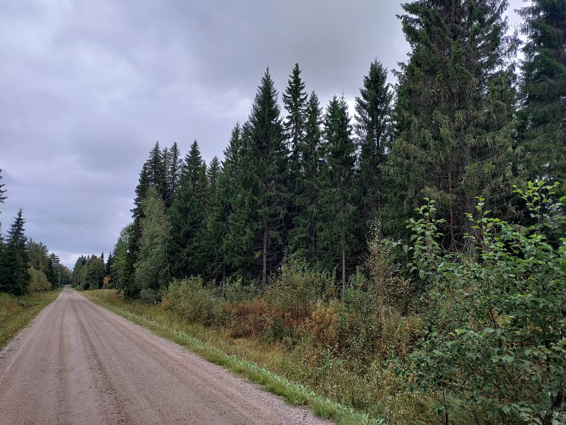 Laitaperkkiö 563-404-35-9 ja Hirvi 563-404-106-11 1