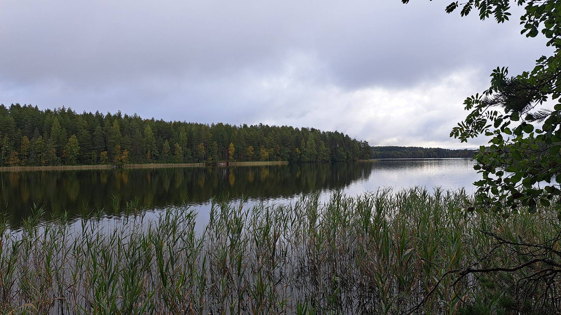 Korhola 740-539-10-3 (myyjä pid. määräalan) 1