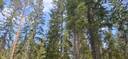 422-405-6-23, NURMELANLISÄ ja 422-405-6-14 NURMELA, Koli, Myyjä pidättää määräalan 1