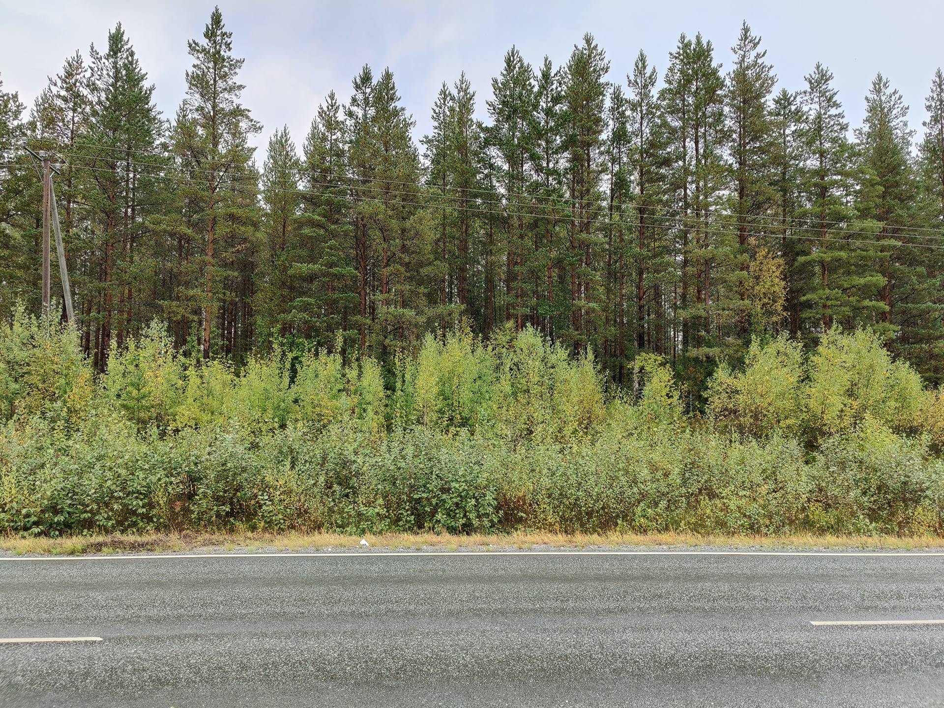 746-406-2-329 KYYTIOJA, MÄÄRÄALA 1