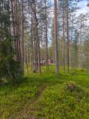 Inkilä 305-421-33-11 metsätila, Kuusamon yhteismetsä osuus ja mökkipaikka 1