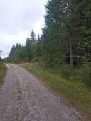 Metsätila Aho 312-403-5-39, Laitala 312-403-5-36 1