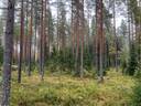 285-429-8-104 KATAJAVAARA 1