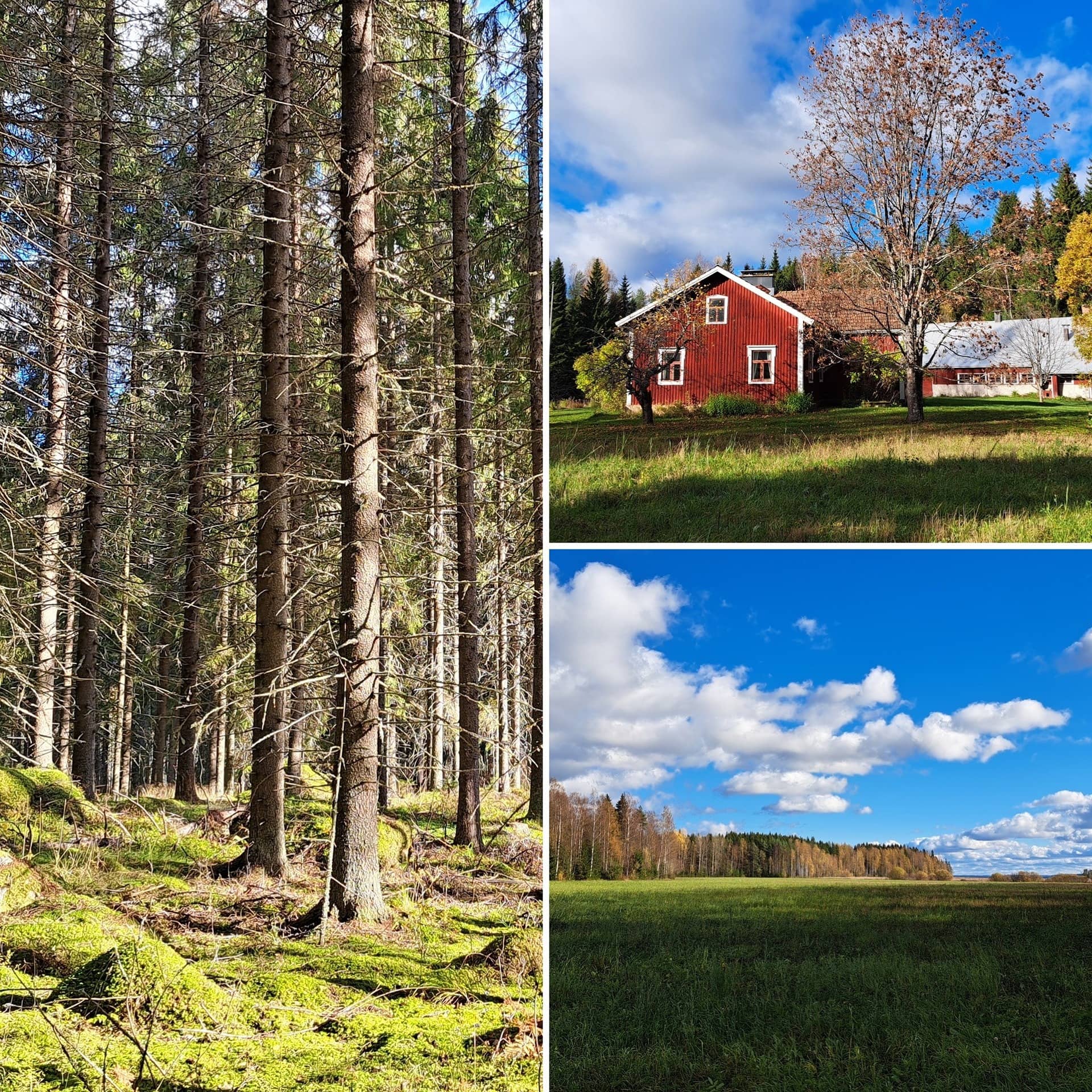 Kuusela 740-589-1-52 ja Lahdenperä 740-589-1-89 1