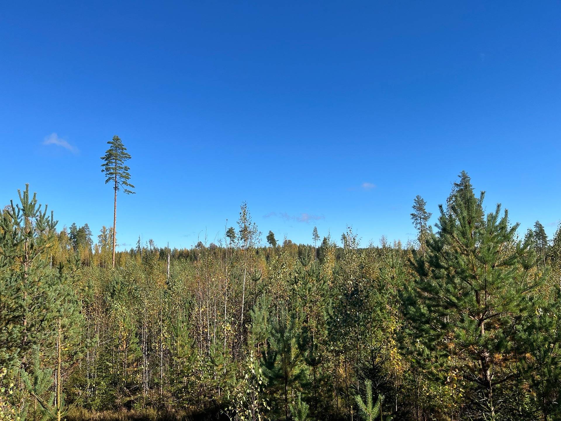 286-457-2-32 Heikkilä määräala 1