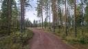 KATAJAKORPI 3:57 1