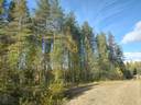 Kalatonsalo 1