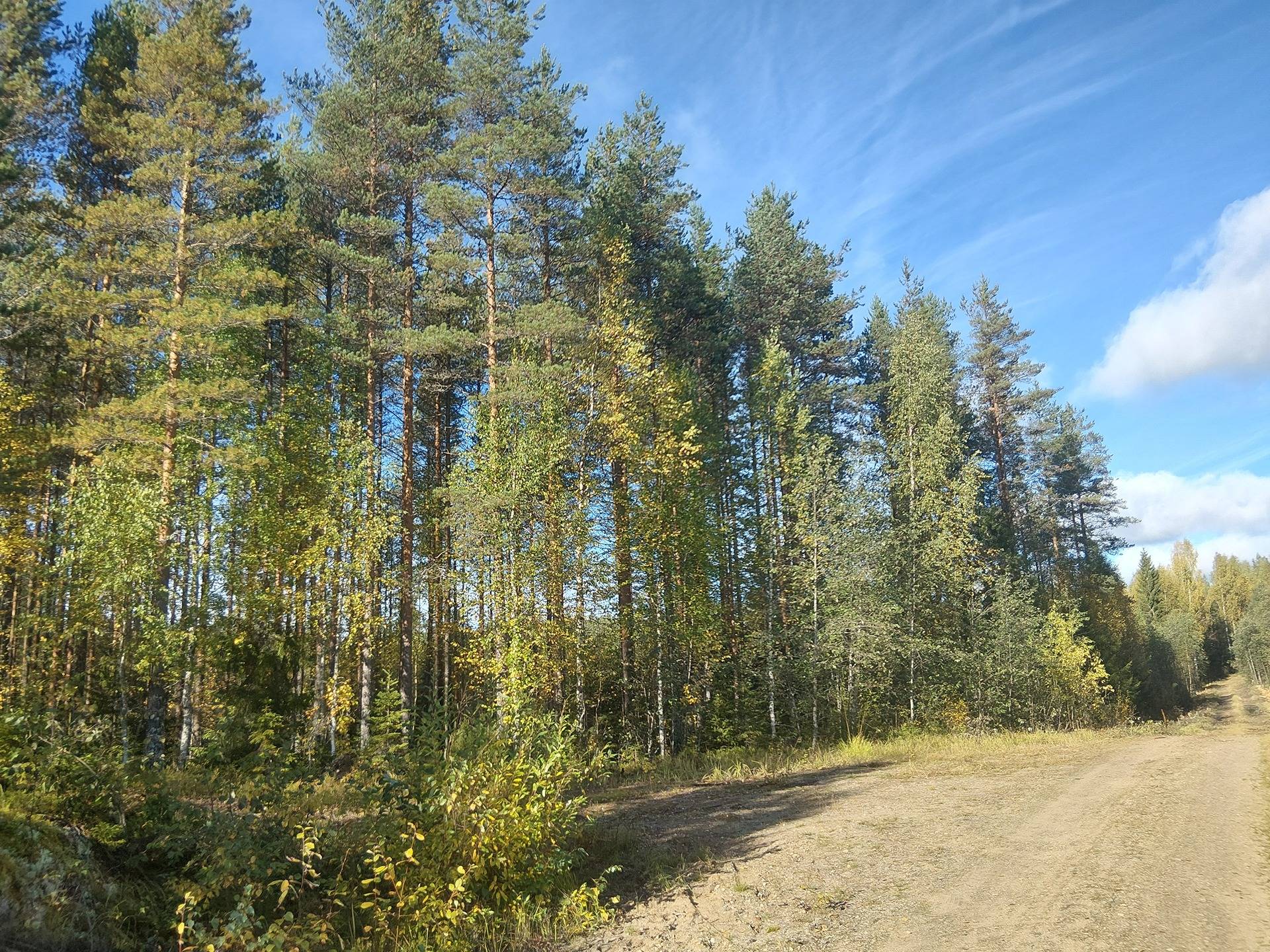 Kalatonsalo 1