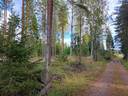 Venätsaari 286-460-7-8 ja Pöllönsuo 286-460-16-18 1