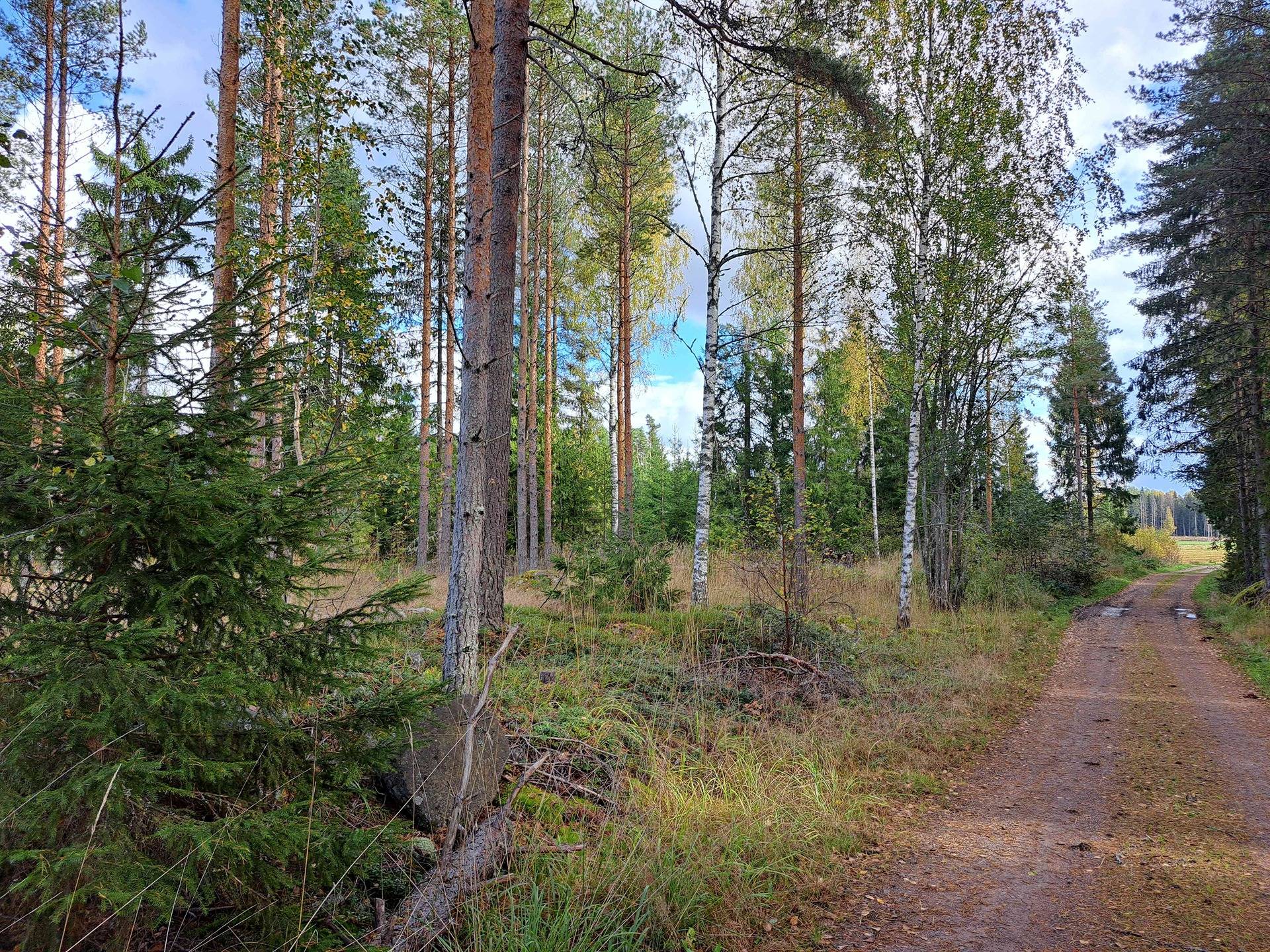 Venätsaari 286-460-7-8 ja Pöllönsuo 286-460-16-18 1