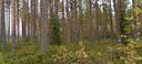 Alajärvi, Kujala 5-402-13-58 1