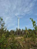 Metsätila Jämijärvellä, Kangas 1