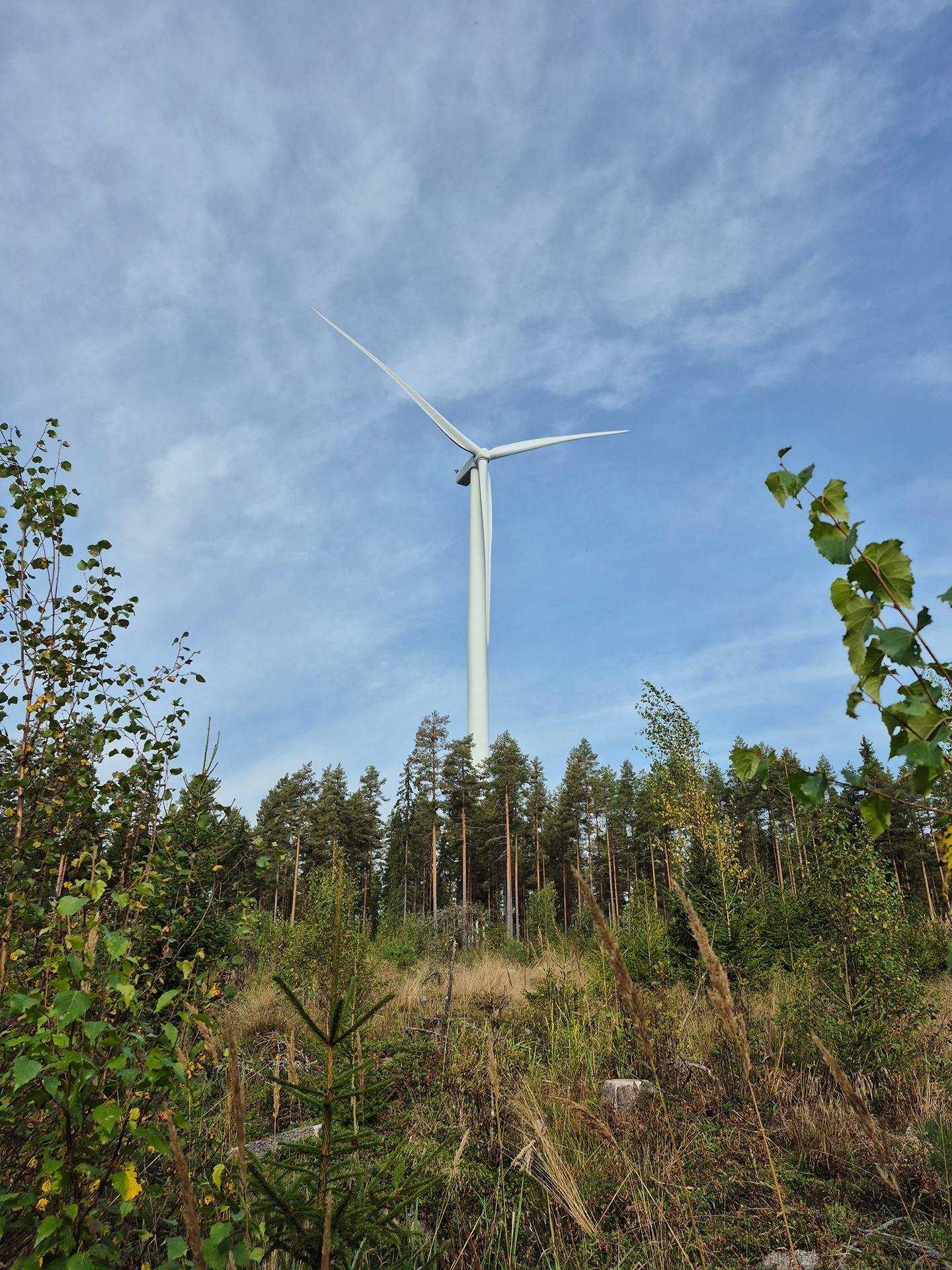 Metsätila Jämijärvellä, Kangas 1