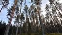 Ranta-Juhola 213-410-52-20 1