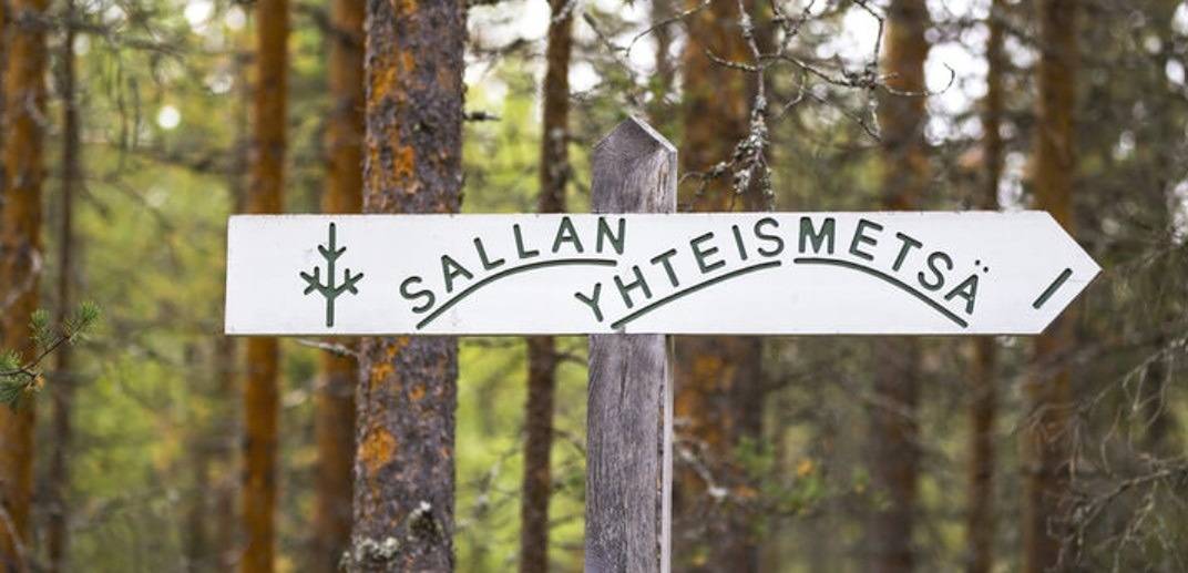 Sallan Yhteismetsäosuuksia 1