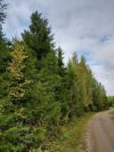 JUKOLA 12-20 Pielavesi 1