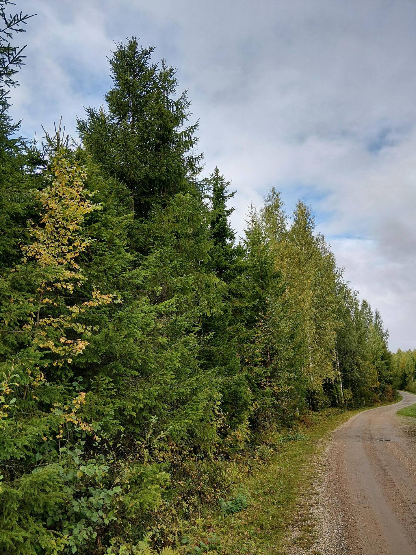 JUKOLA 12-20 Pielavesi 1