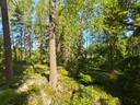Mickskog 2:105, Lappfjärd/Lapväärtti 1