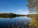 491-508-10-21 Metsäranta 1
