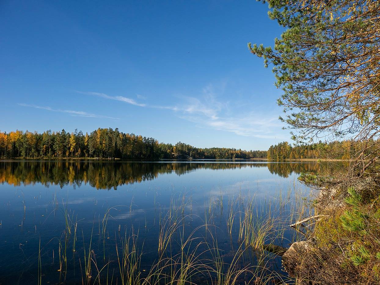 491-508-10-21 Metsäranta 1