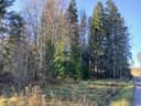 Kivelä 2:40, Tammela 1