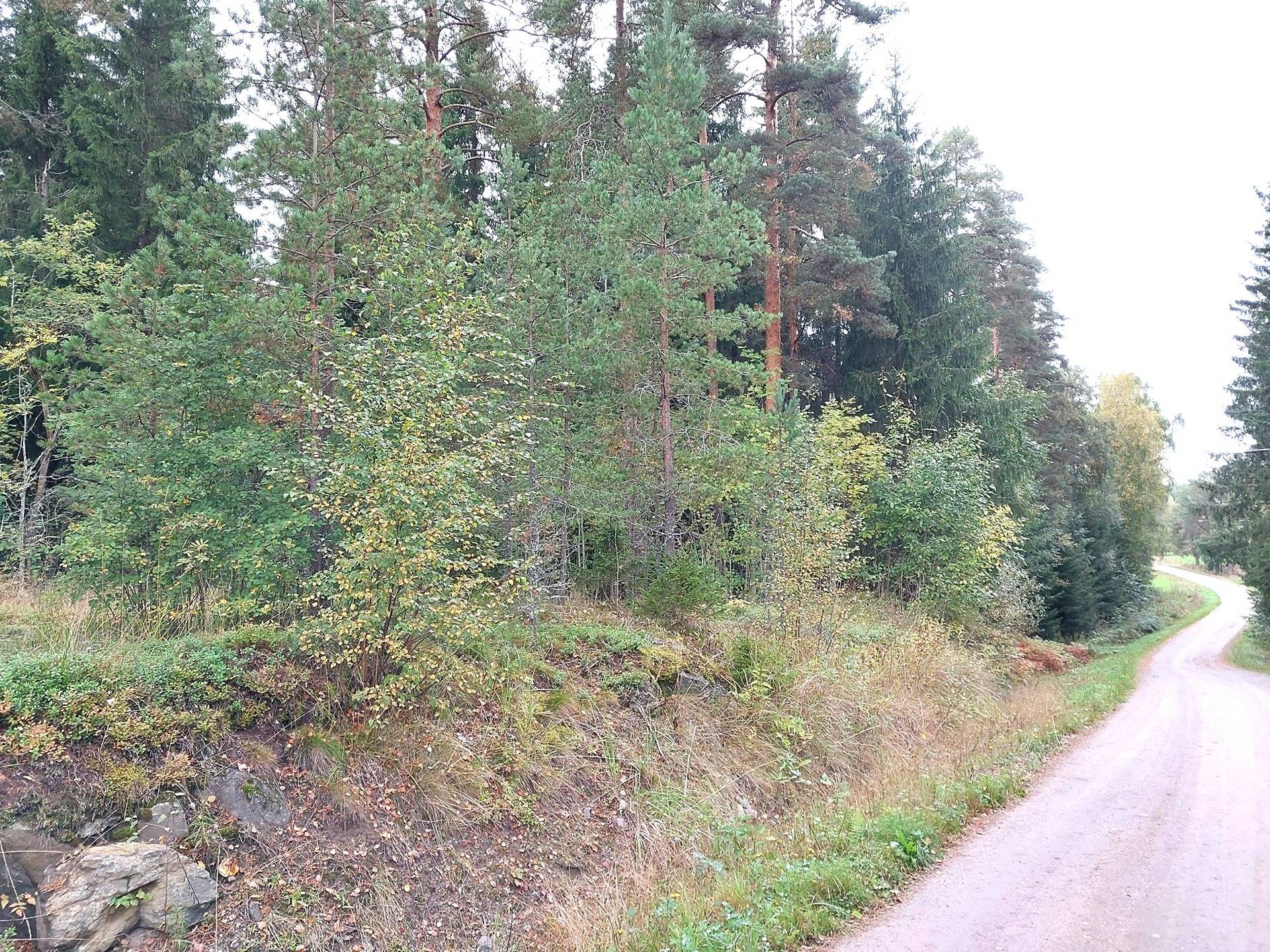 Rajamäki 491-548-2-20 1