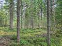 Niemelä Määräala 915-426-6-82 1
