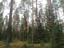 Piirais-Saari 748-417-46-6, Ohtua 748-418-5-6, Kuokkamaa 748-418-18-3, Hiljala 748-418-19-0 ja Heikinpelto 748-418-8-53 1