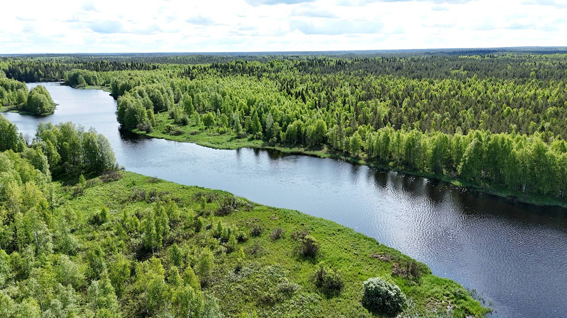 KOSKI 889-402-6-30, n. 9,3 ha metsäkiinteistö Juorkunassa 1
