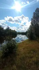 Uusikäyrämö I 758-427-1-77 ja Uusikäyrämö 698-407-1-80 1