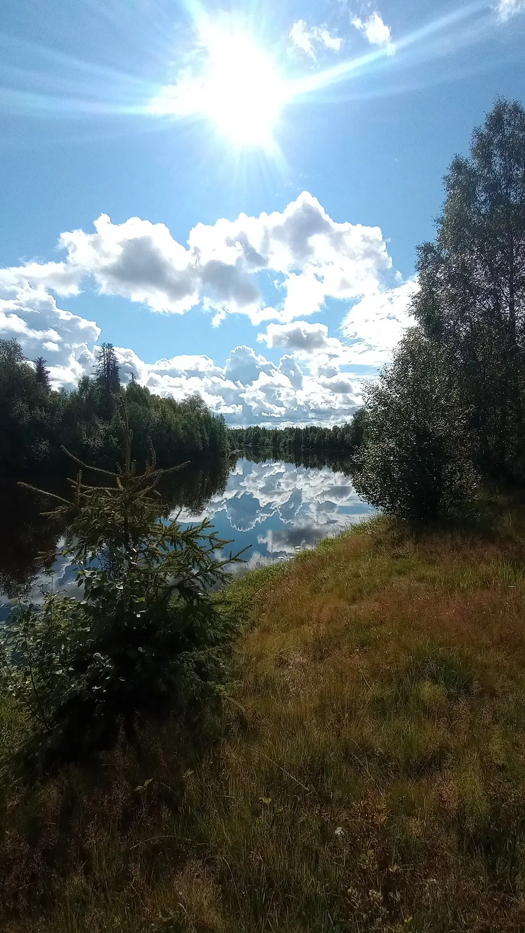 Uusikäyrämö I 758-427-1-77 ja Uusikäyrämö 698-407-1-80 1