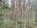 746-405-96-9 JOKIRINNE, MÄÄRÄALA 1