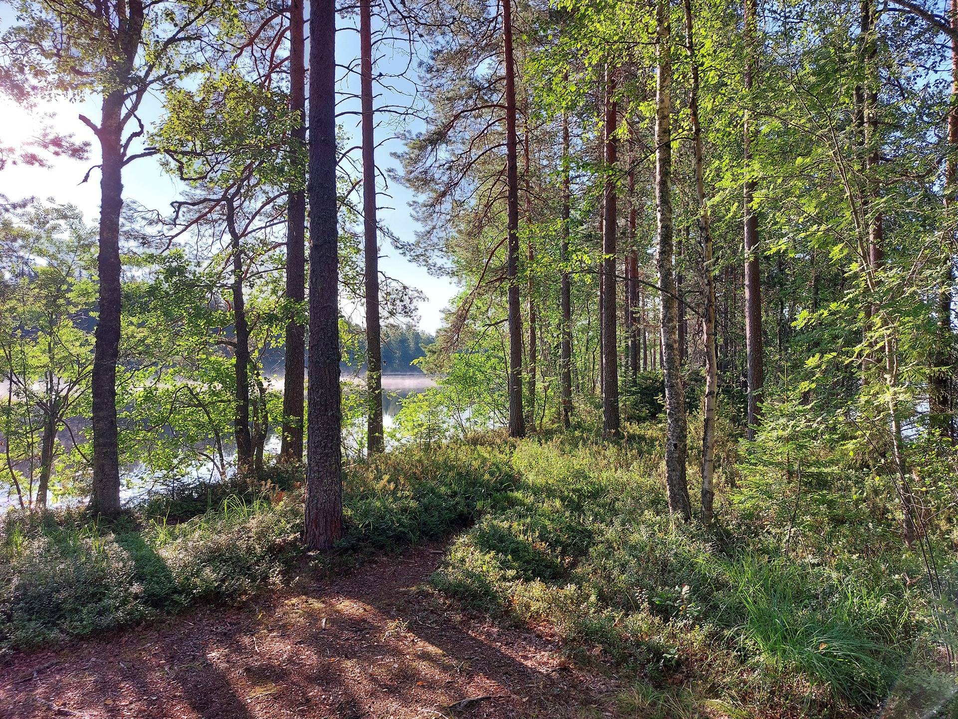 Huipero 700-420-2-30, määräala 1