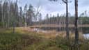 Määräala metsää tilasta HELAKALLIO 1:39, Vammala/ Sastamala 1