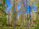 Kauhava, Ylihärmä, Saarela 233-427-18-1 1