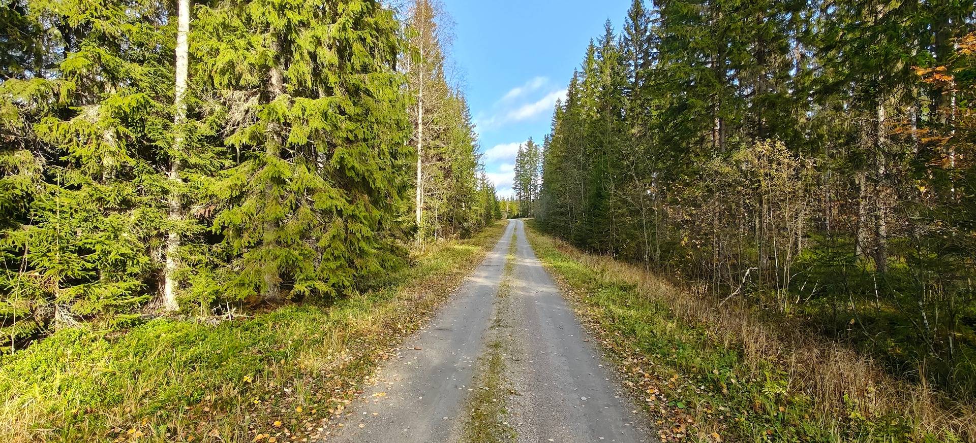 Viitakylä, Linnanpelto 992-461-5-312-M601 1