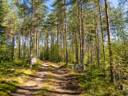Koivumäki 739-404-5-15 ja Kuoppamäki 739-404-5-20 1