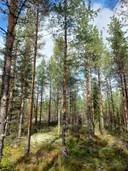 Latvamarttila 743-433-8-47 (määräala) 1