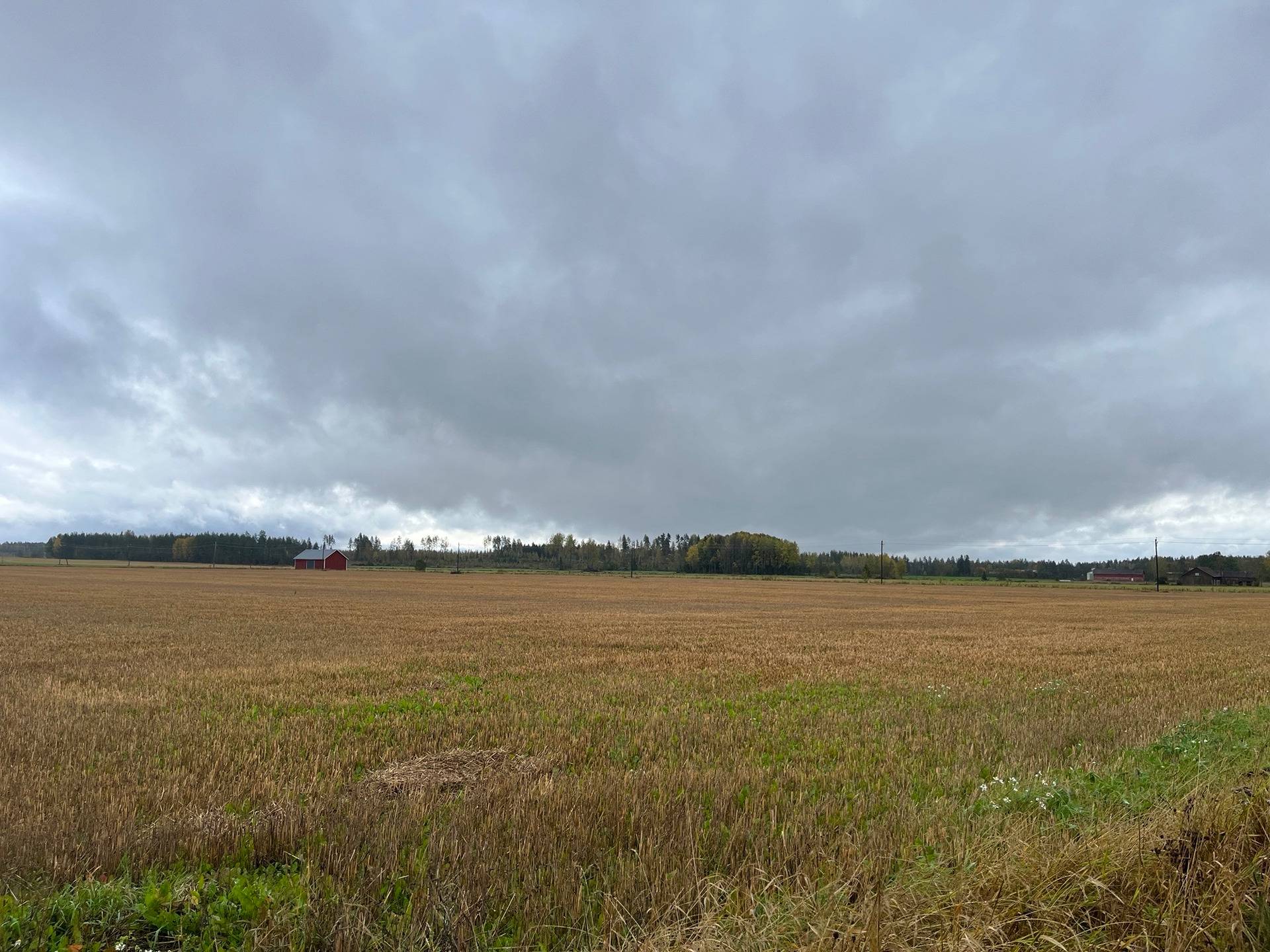 286-453-1-223 Mamsellintöyry 1