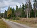 KIVIAHO II 4-132 Vieremä 1
