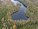 Orivesi, Enokunta/Leinola, Vitelin tilan metsät 1