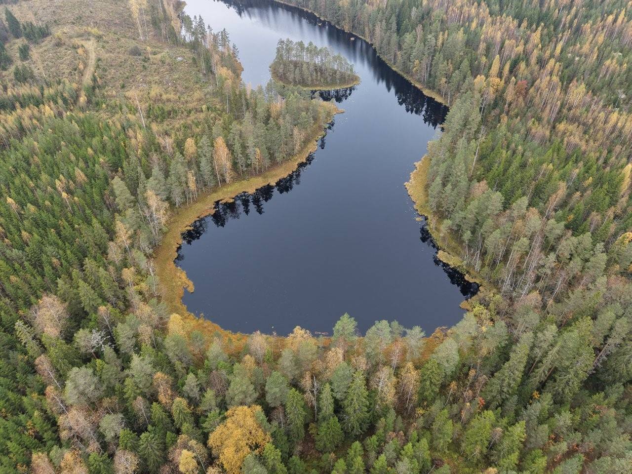 Orivesi, Enokunta/Leinola, Vitelin tilan metsät 1