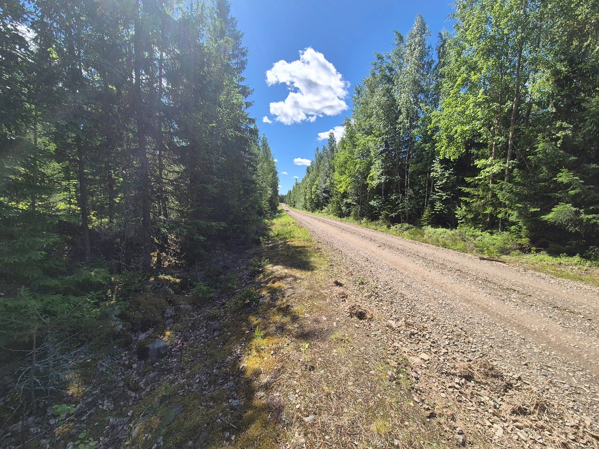 Kivivuori 12:98 1