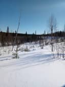 Ainola 698-402-2-147 määräala 1