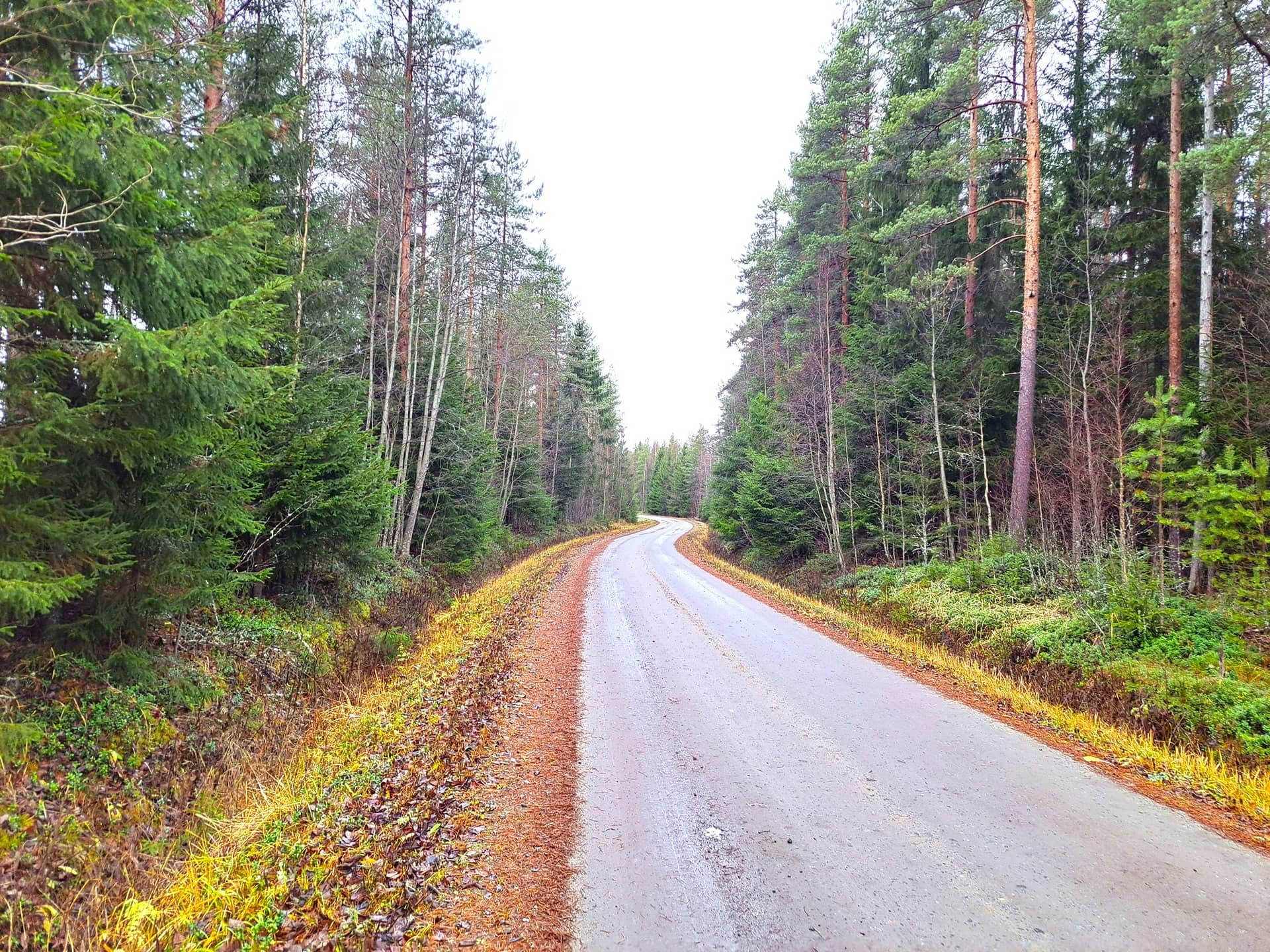 Evijärvi Särkikylä MÄKITALO 16:10 määräala noin 16,2 ha 1