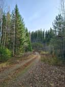 AHOVAARA 422-412-7-1, Kontiovaara 1