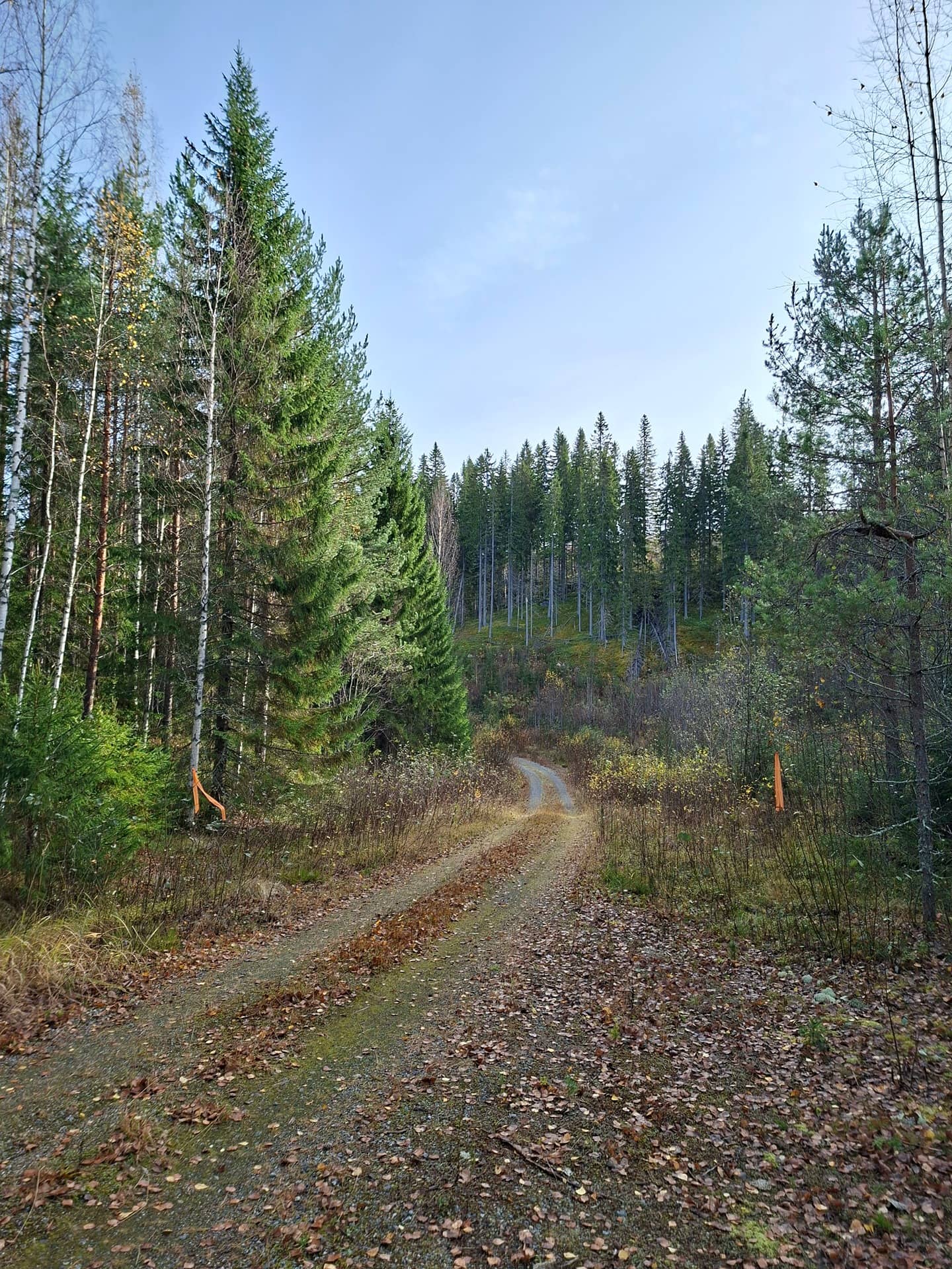 AHOVAARA 422-412-7-1, Kontiovaara 1