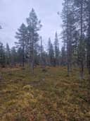 Koskenranta 261-410-6-42 1