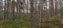 Alavus, RANTALA 10-404-26-2 ja LEPISTÖ 10-404-26-13 1