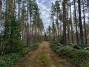 Metsä-Ketola 208-406-6-267 1